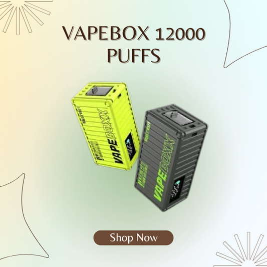 Vapebox 12000 Puffs