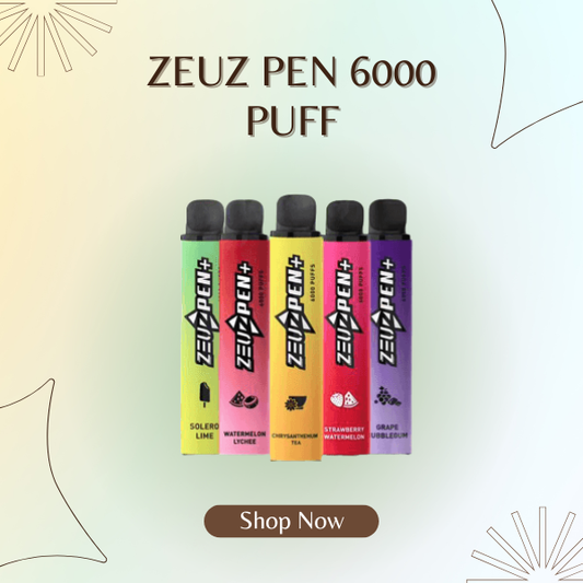 Zeuz Pen 6000 Puff